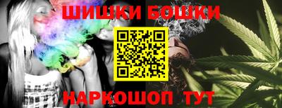 шишки Гусиноозёрск