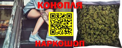 шишки Гусиноозёрск