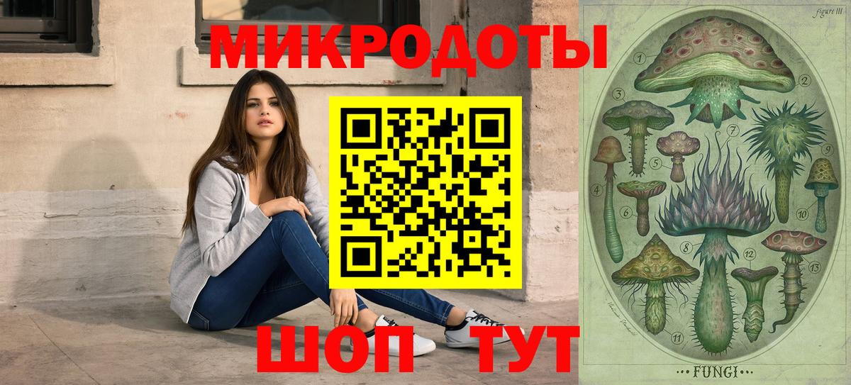 Галлюциногенные грибы Psilocybine cubensis Нижнеудинск