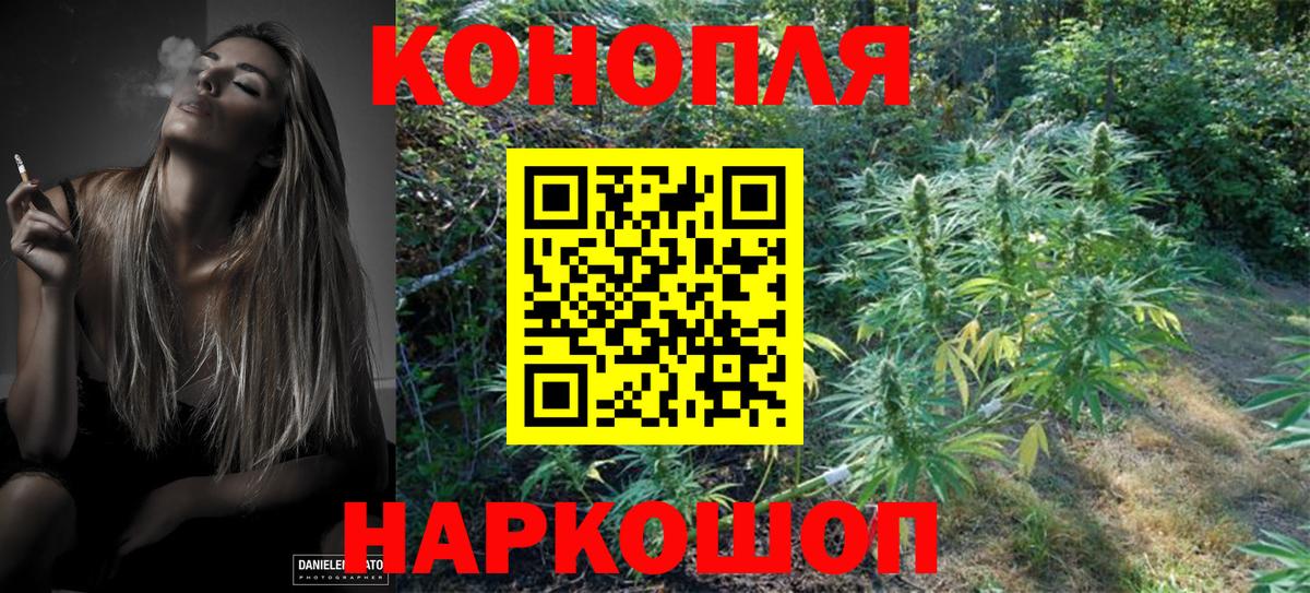 Конопля конопля  Вход с VPN  Бошки Шишки план  Нижнеудинск 